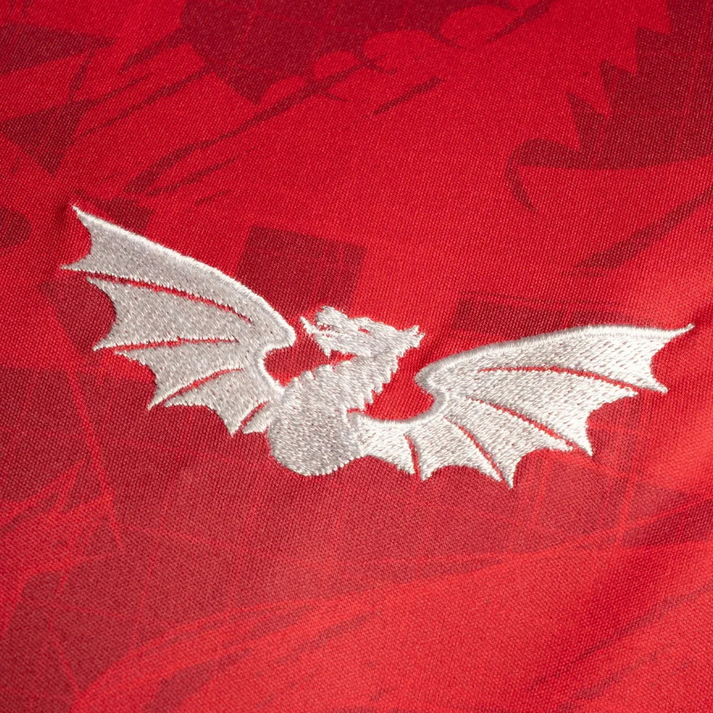 VX3 Scarlets Warm Up Tee Red 2025/26 - Rugbystuff.com