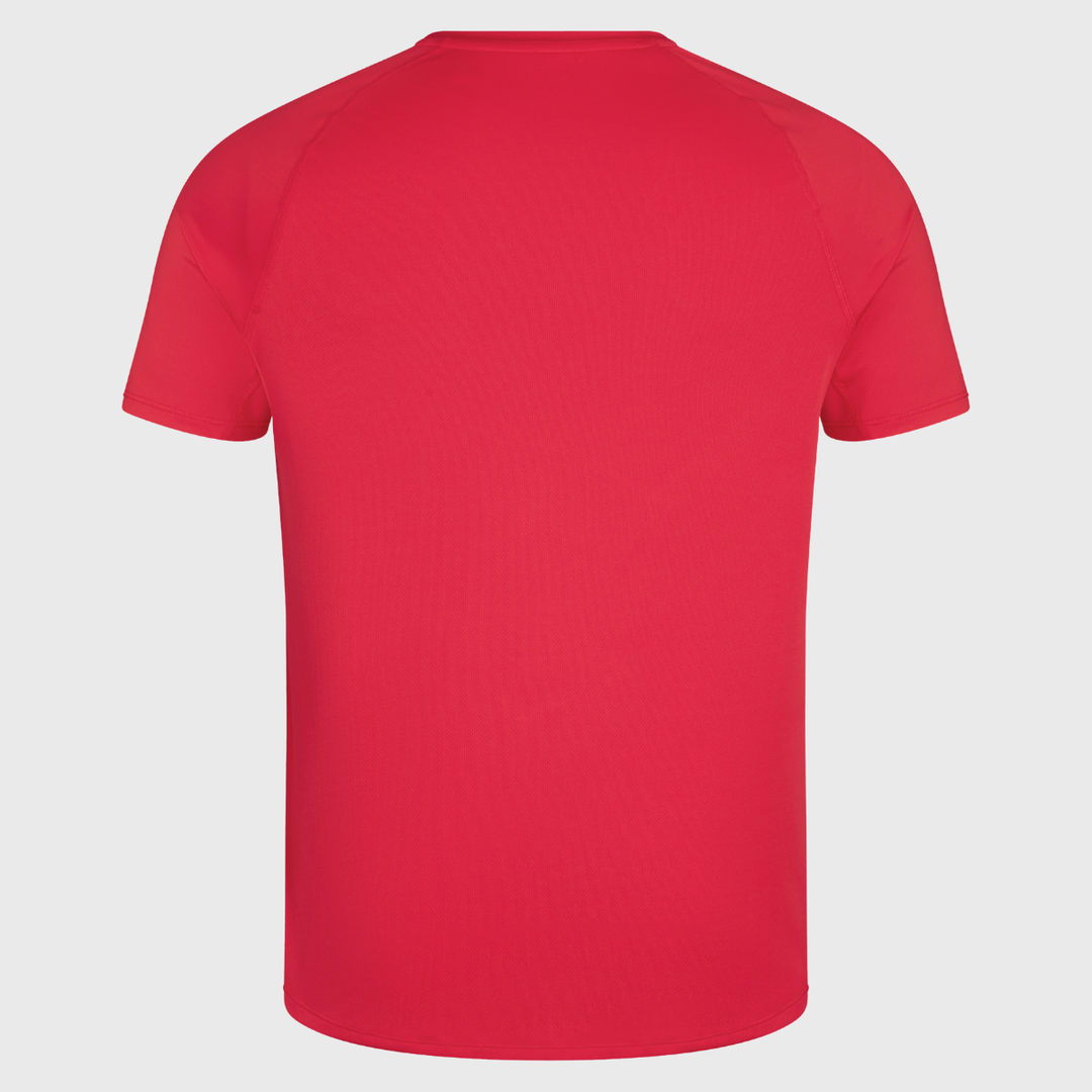 Canterbury Men's Superlight Logo Tee Red