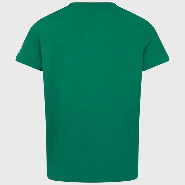 Canterbury Ireland Rugby Cotton Tee Vintage Green 2026/27