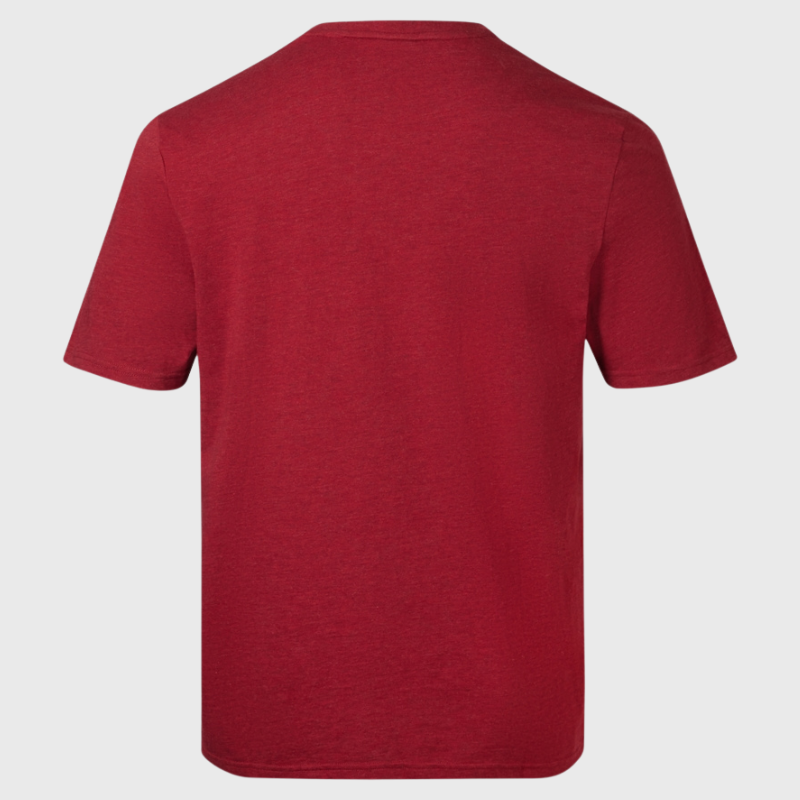 Canterbury British & Irish Lions Monument Tee Red - Rugbystuff.com