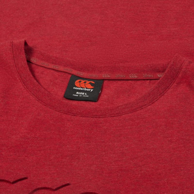 Canterbury British & Irish Lions Monument Tee Red - Rugbystuff.com