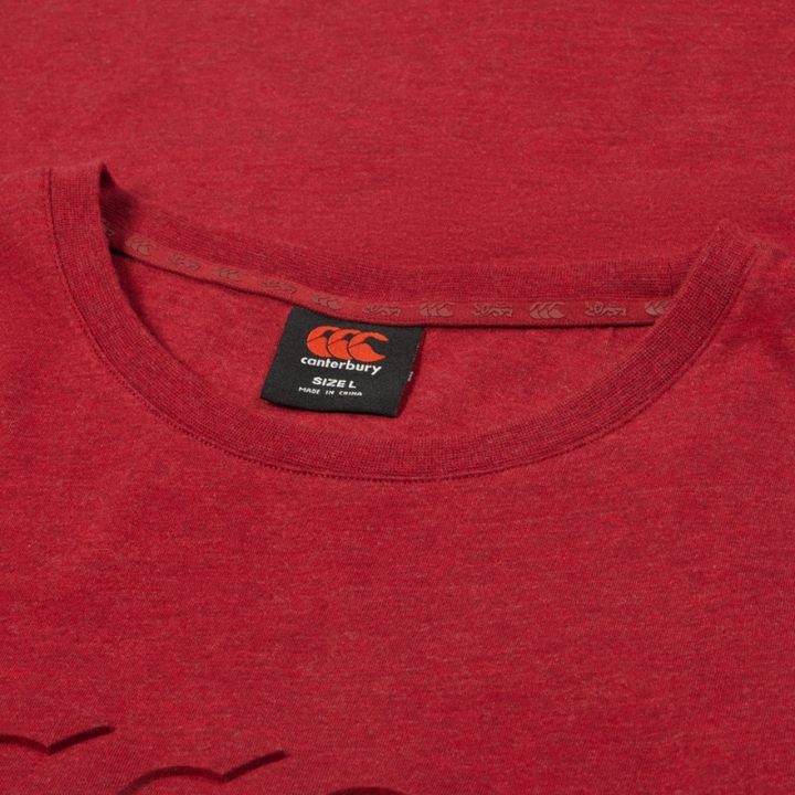 Canterbury British & Irish Lions Monument Tee Red - Rugbystuff.com