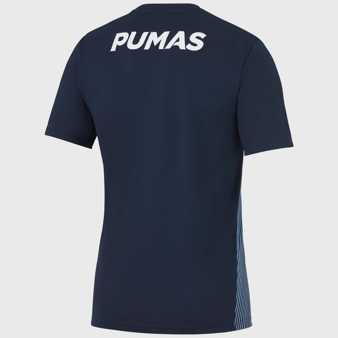 Nike Argentina Men's Pre-Match Training Rugby Shirt 2023/24 - Rugbystuff.com