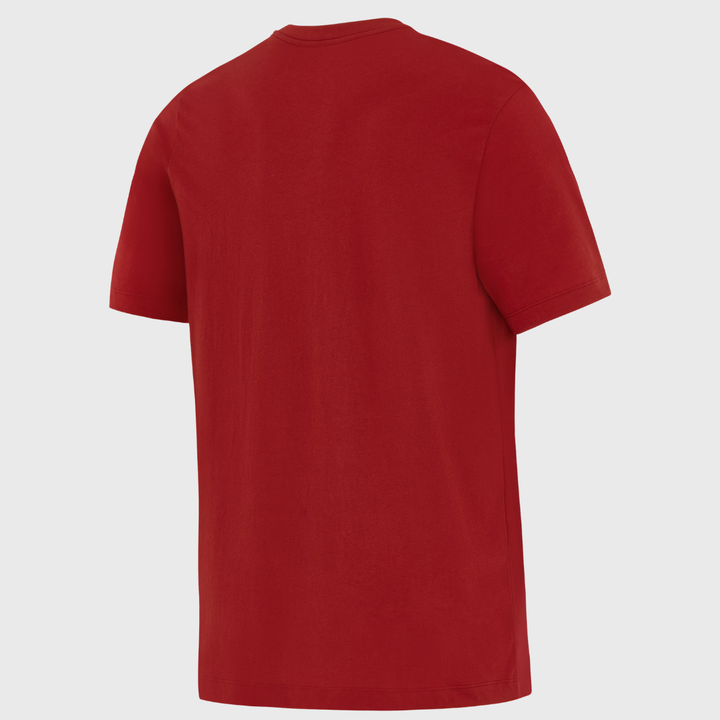 Nike British & Irish Lions Men's Logo Tee Red