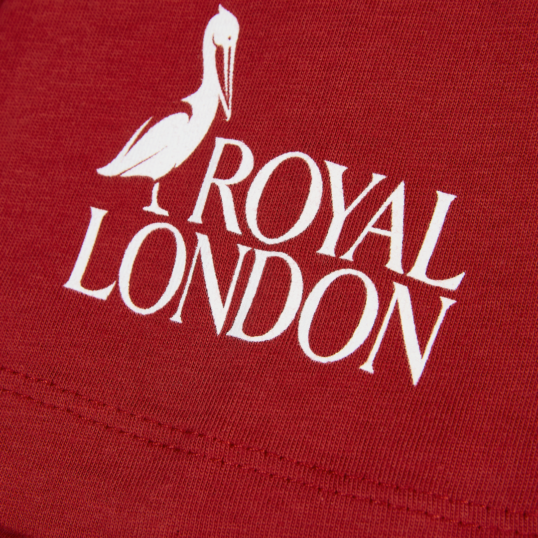 Nike British & Irish Lions Men's Logo Tee Red