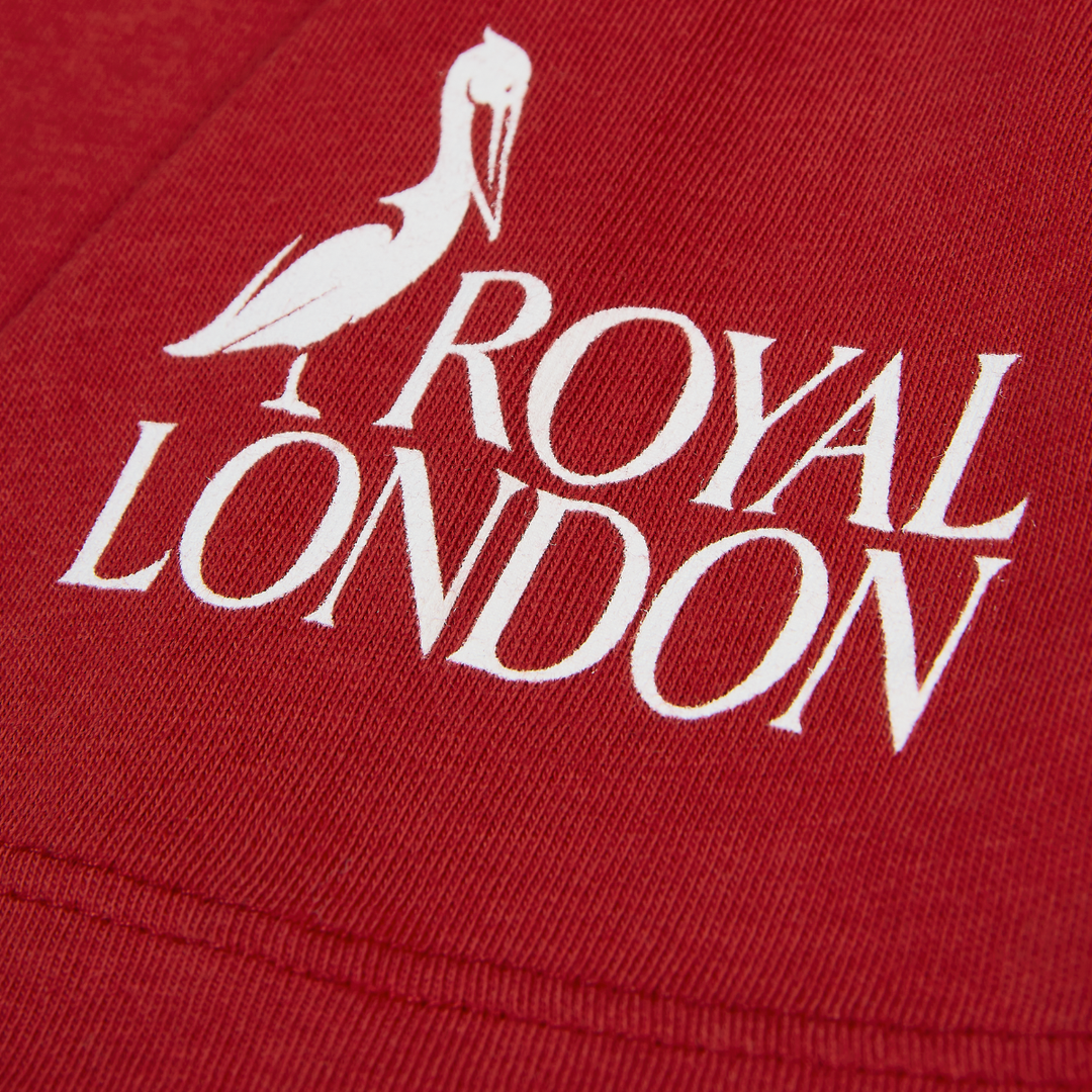 Nike British & Irish Lions Women's Logo Tee Red