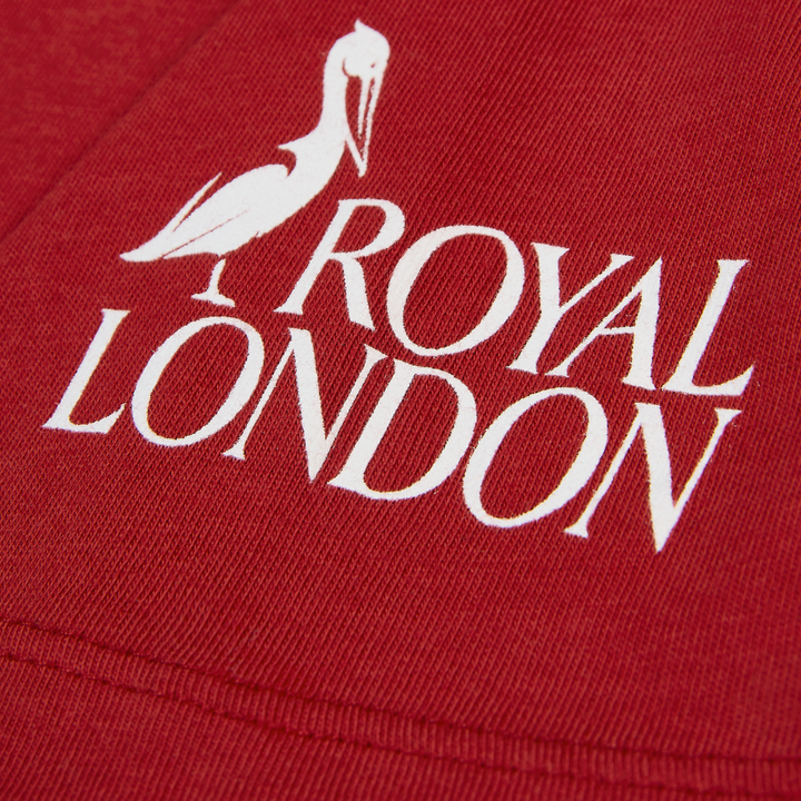 Nike British & Irish Lions Women's Logo Tee Red