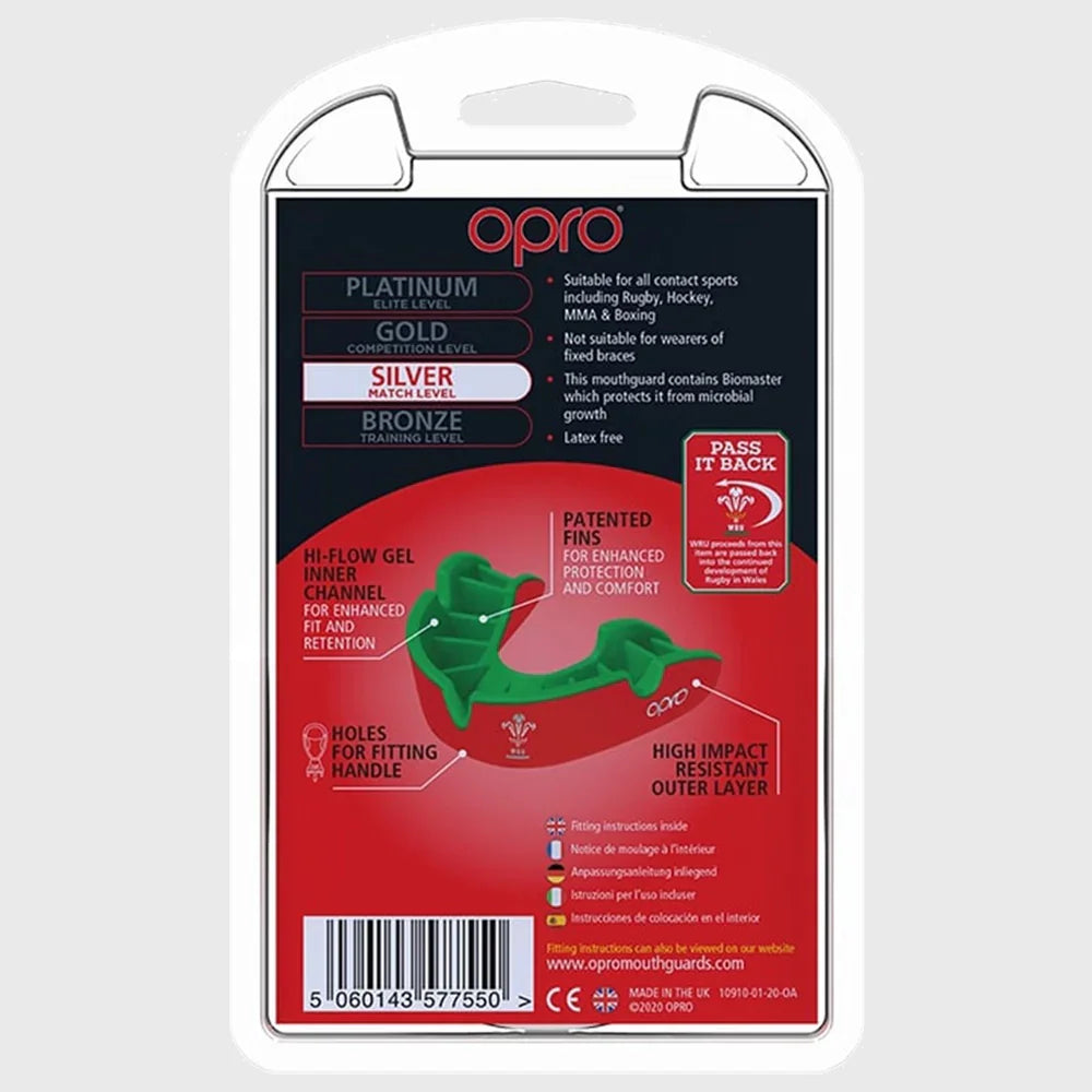 Silver and 2025 fit website