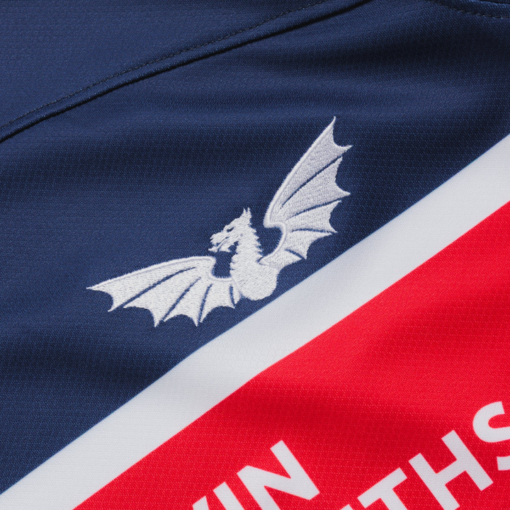 VX3 Scarlets Away Replica Rugby Shirt 2026/27
